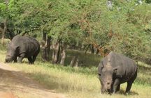 Your private driver & tour guide in Senegal-Reserve of Bandia