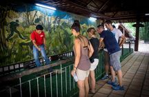 Half day Cu Chi Tunnels Join small group tour