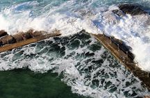 Sydney harbour and ocean beaches, Ku-Ring-Gai National Park