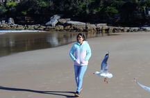 Manly and more private tour