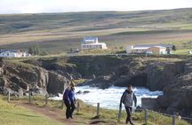 Akureyri North Iceland Waterfalls and Nature Baths Small Group Tour