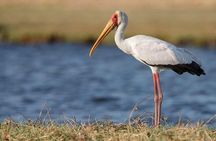 3-Day Tarangire NP, Manyara NP & Ngorongoro Crater