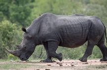 3-Day Tarangire NP, Manyara NP & Ngorongoro Crater
