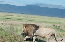 3-Day Tarangire NP, Manyara NP & Ngorongoro Crater