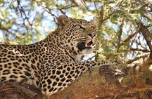 3 Days Budget Mid Range Safari Tour Tanzania