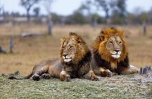 5 Days Budget Mid Range Safari Tour Tanzania