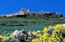 Mdina, Rabat, Dingli cliffs, San Anton gardens, Ta' Qali & Mosta guided tour