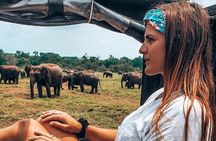Sri Lanka Budget tour 11 N /12 D with driver, vehicle and H/B accommodations 