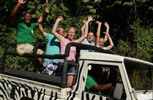 Jeep & Zip Safari St. Lucia From Castries