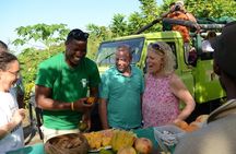 Rainforest Hike & Waterfall Safari St. Lucia From Castries