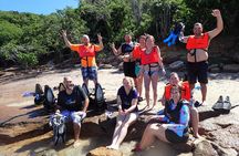 Turtle Beach Power Snorkeling Adventure
