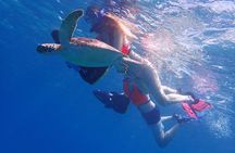 Turtle Beach Power Snorkeling Adventure