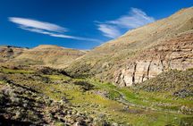 Safari Experience - Wildlife & Steppe