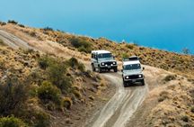Safari Experience - Wildlife & Steppe