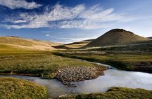Safari Experience - Wildlife & Steppe