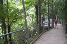 PRIVATE Blue Mountains day tour with local guide.