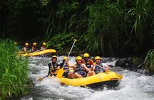 Ubud White Water Rafting with Private Transfer & Lunch
