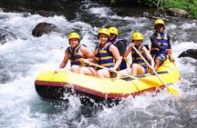 Ubud White Water Rafting with Private Transfer & Lunch