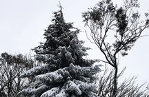 1 day Lake mountain snow tour 