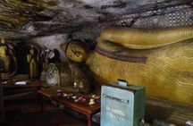 Private day trip Sigiriya, Dambulla with Kaudulla national park safari