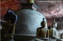 Private day trip Sigiriya, Dambulla with Kaudulla national park safari