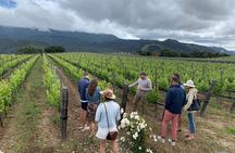 Small-Group Wine Tour in Santa Barbara to Exclusive Vineyards