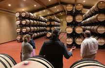 Private VIP Santa Barbara Wine Tour. Your Group. Your Day. (4-8)