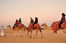 Evening Desert Adventure: Quad Biking, Sandboarding & Camel Ride