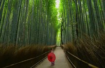 Japan Discovery Tour (12 Days)