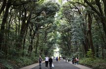 Japan Discovery Tour (12 Days)