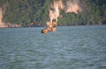 John Gray's Adventure Hong by Starlight in Phang Nga Bay
