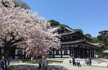 Private Car Tour to see Highlights of Kamakura, Enoshima, Yokohama from Tokyo