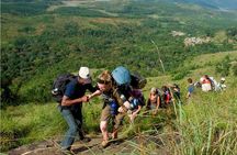 Tea plantation walk and stay in valley view Room (By Munnar Info)