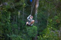 Tsitsikamma Canopy Tour