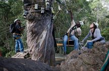 Tsitsikamma Canopy Tour