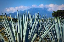 The Fire TOUR - Pyramids, Volcanoes, Agaves & Tequila