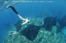 Snorkelling in Nusa Penida - Manta Point