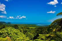 Cape Tribulation Day Tour 
