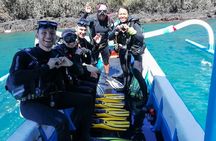 Scuba Diving in Padangbai