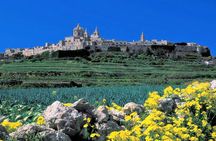 Mdina, Dingli cliffs and San Anton Gardens guided tour
