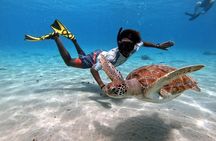 Curacao: Swimming with Sea Turtles and Grote Knip Beach Tour