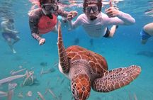 Curacao: Swimming with Sea Turtles and Grote Knip Beach Tour