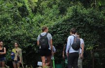 Premium Day Pass - Ecological Park Arenal Volcano + Hot Springs