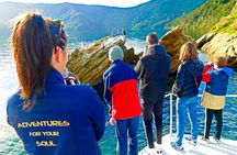 Marlborough Sounds Ultimate Cruise 