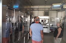 Knowledge, passion and love for the earth Walk through the vineyards taste the wines