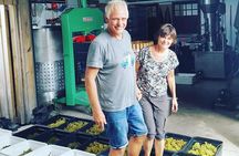 Waiheke island wine tours with Waitiki Tours