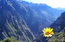 trekking 2days 1 night