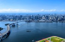 【75 mins】 Tokyo-Mt.Fuji Tour: Mt. Fuji Helicopter Tour