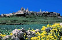 Private guided Malta tour with a professional guide and transport