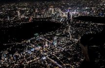 【50 mins】 City lights HelicopterTour: Tokyo and Yokohama plan